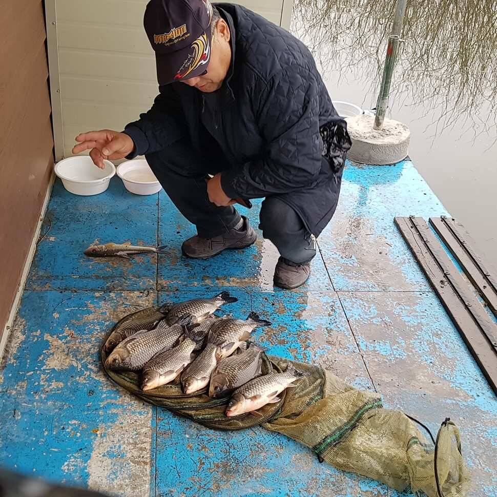 fish_pay_81cee_014435_32227.jpg
