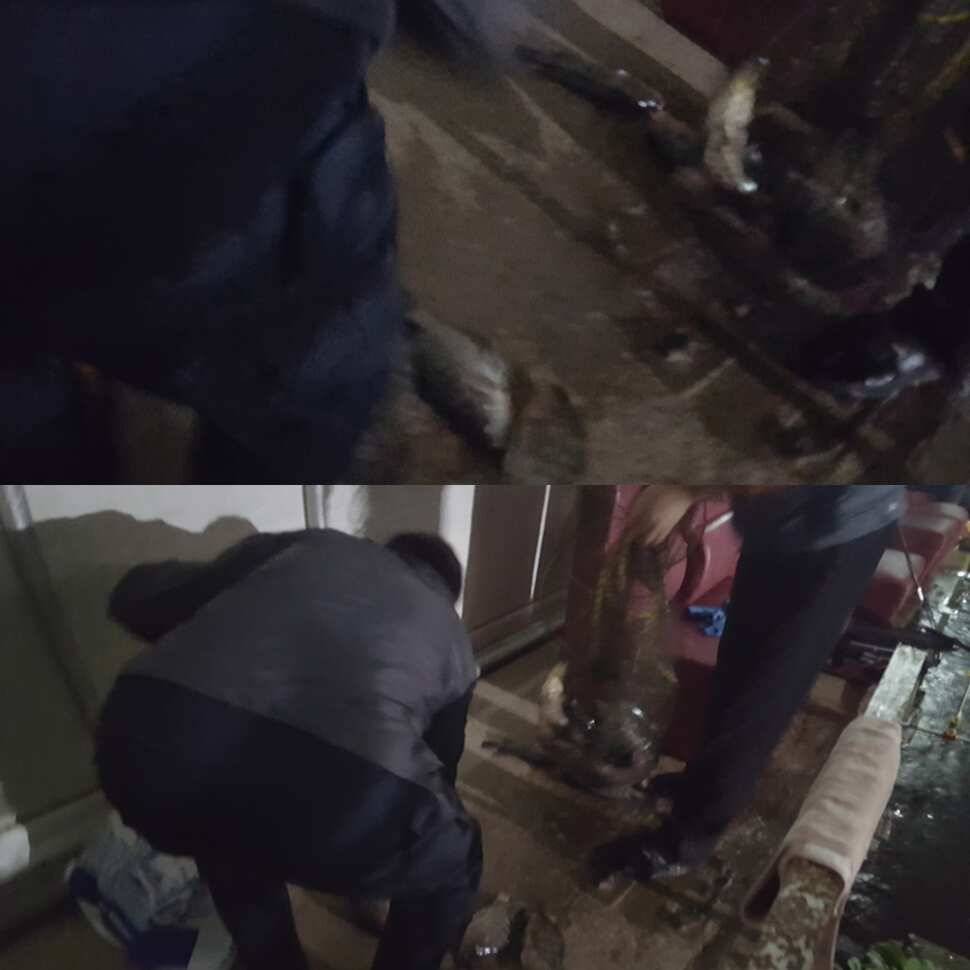 너무 물렀어 (유료터정보 - 유료터점주조황)