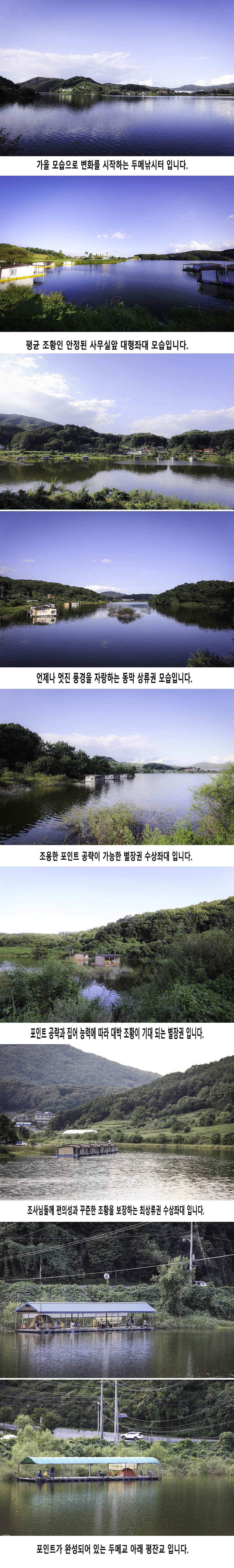안성 두메낚시터 9월11일 조황안내 (유료터정보 - 유료터점주조황)