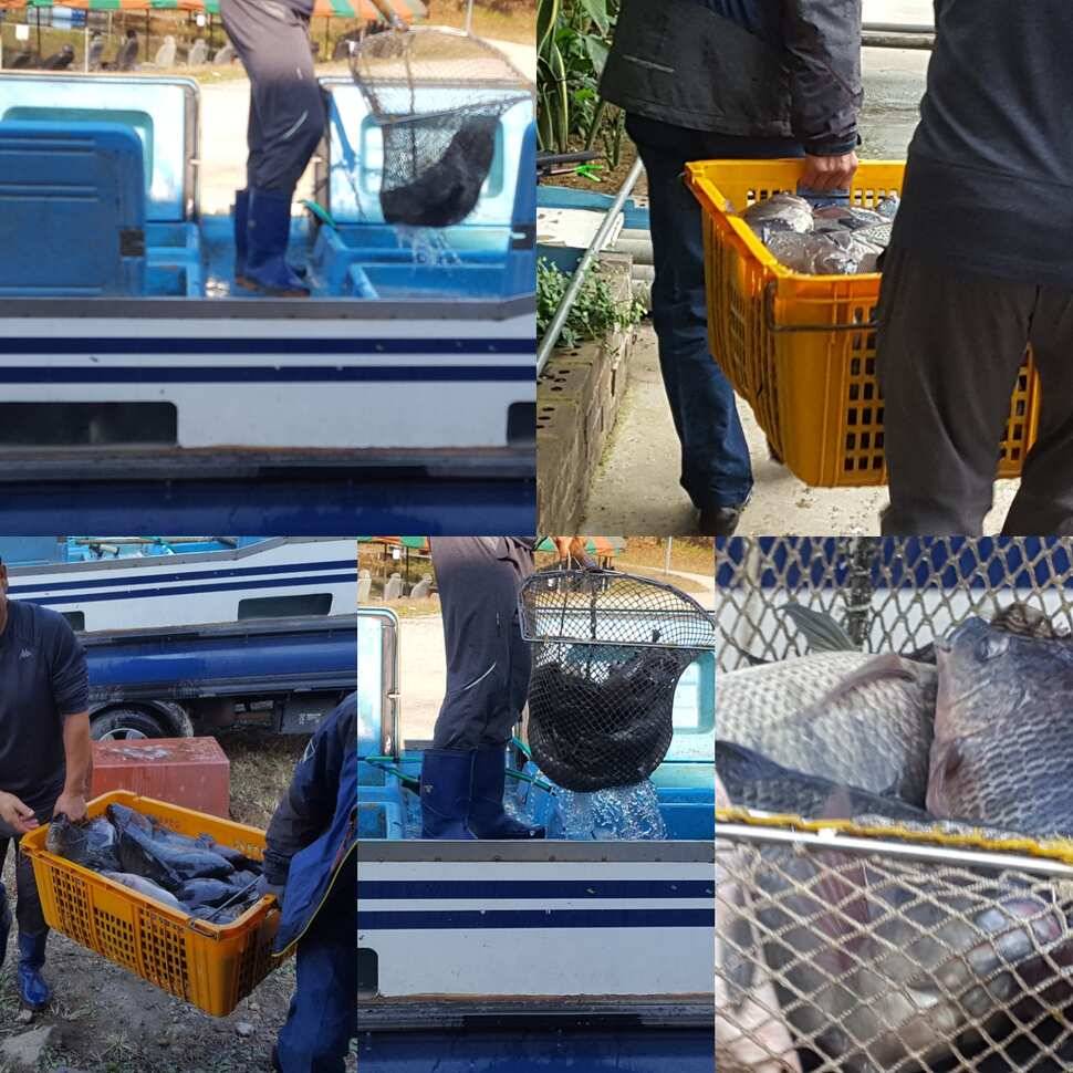 신세타령 (유료터정보 - 유료터점주조황)