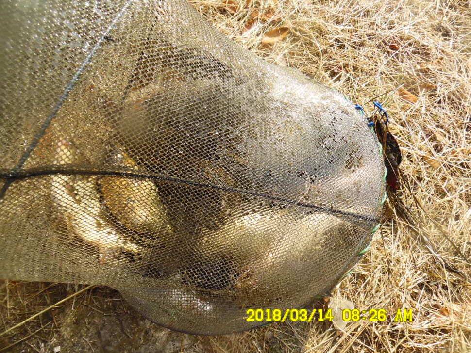 경주 동산낚시터 지난주 조황 (유료터정보 - 유료터점주조황)