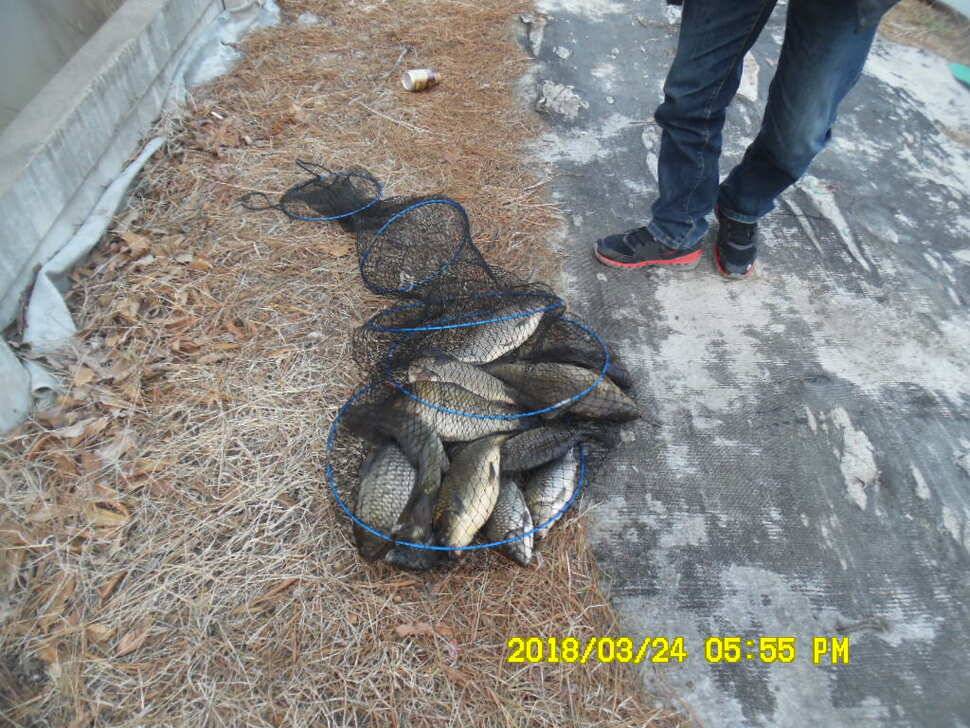경주 동산낚시터 지난주 조황 (유료터정보 - 유료터점주조황)