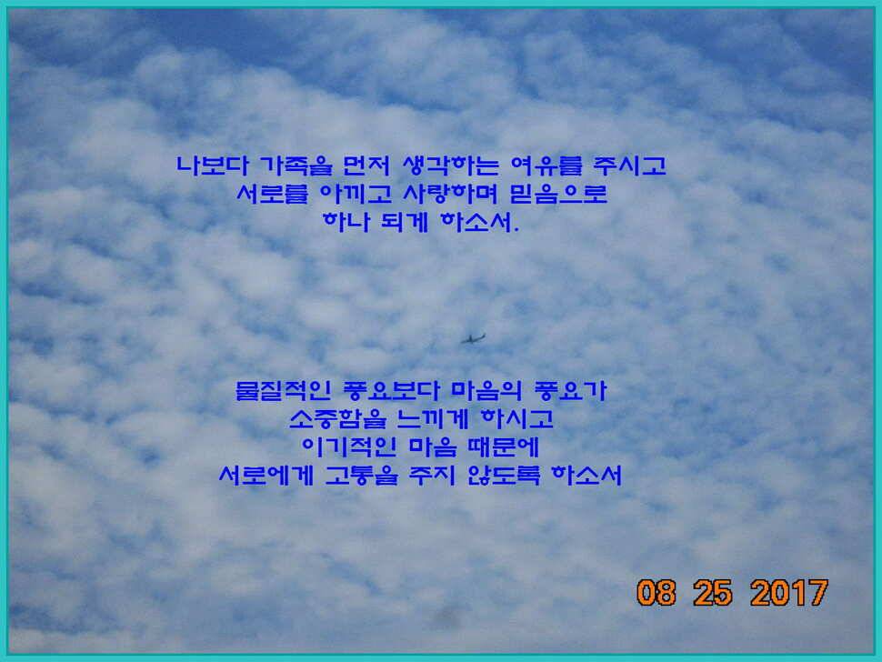 도심속의 작은 쉼터 화성 관리 낚시터입니다8월도 하루 남았습니다 (유료터정보 - 유료터점주조황)