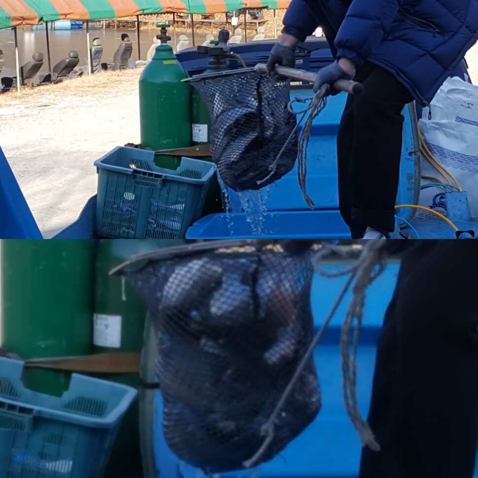 점보 사이즈 (유료터정보 - 유료터점주조황)