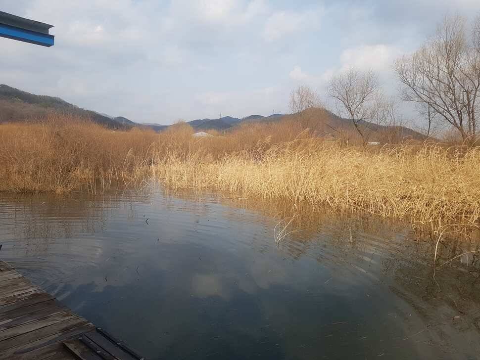 분위기 최고 (유료터정보 - 유료터점주조황)