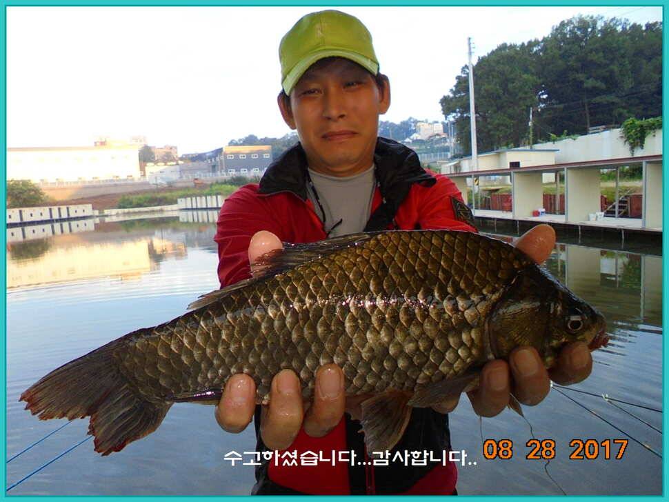 도심속의 작은 쉼터 화성 관리 낚시터입니다 (유료터정보 - 유료터점주조황)