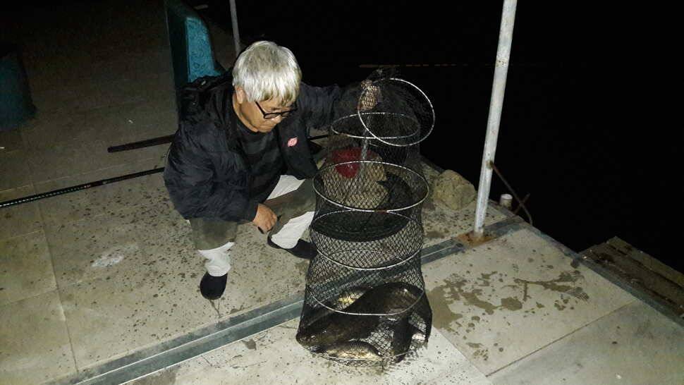 낚시하기 좋은 계절 아름다운 산들이 (유료터정보 - 유료터점주조황)