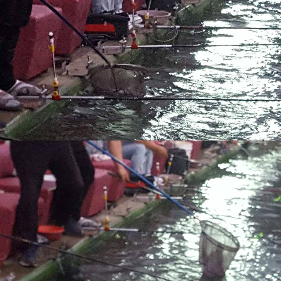 눈먼 물고기 (유료터정보 - 유료터점주조황)