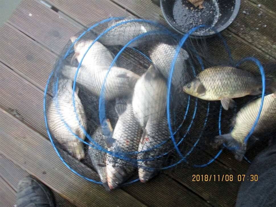 fish_pay_87838_103527_53887.jpg