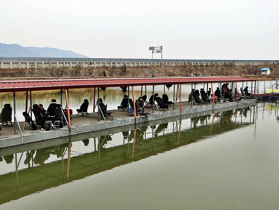 포천 쌍방죽낚시터 319 소식 (유료터정보 - 유료터점주조황)