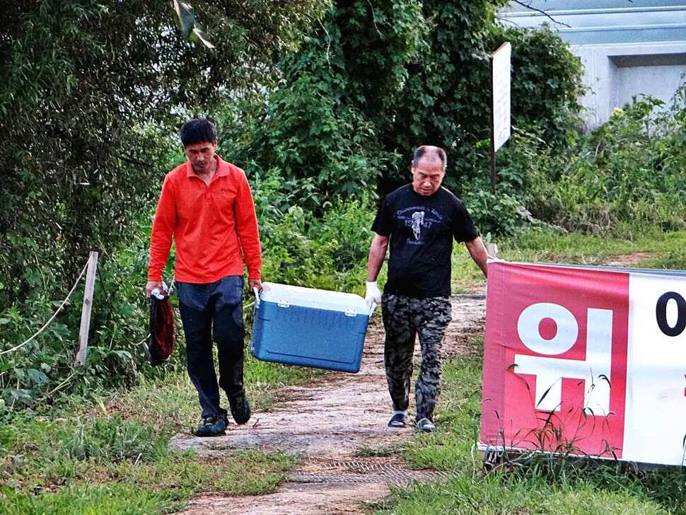 경기도 포천 쌍방죽낚시터 8월 29일 소식 (유료터정보 - 유료터점주조황)