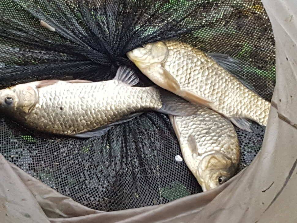 안성죽산장계지조항전경입니다 (유료터정보 - 유료터점주조황)
