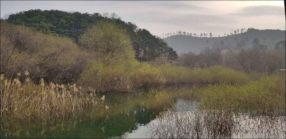 180329 송전지 서울집 조황 (유료터정보 - 유료터점주조황)