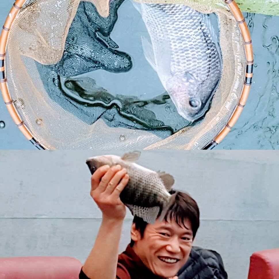 엄선 방류국내산 (유료터정보 - 유료터점주조황)