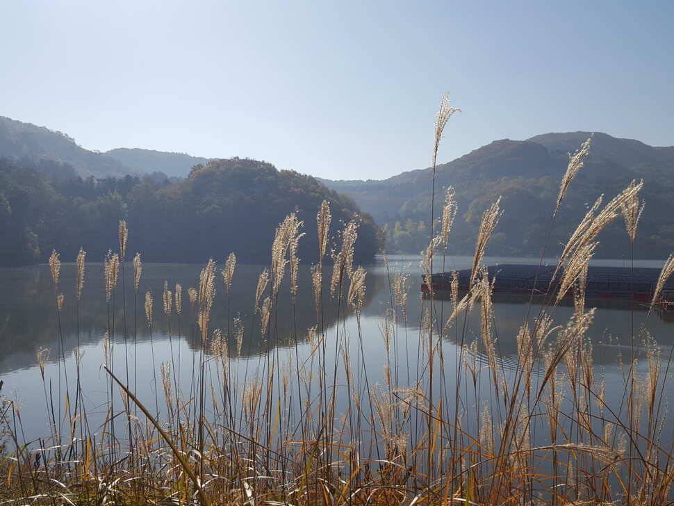 안성죽산장계지조항전경입니다 (유료터정보 - 유료터점주조황)