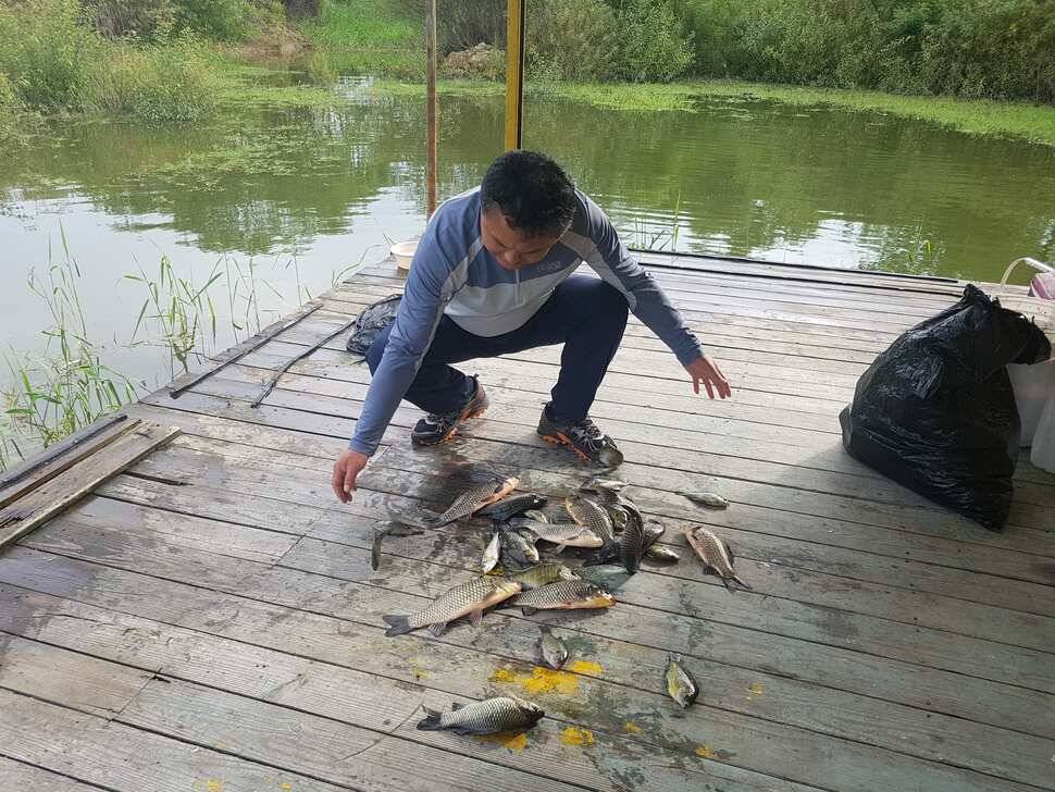 fish_pay_8aace_120434_31951.jpg