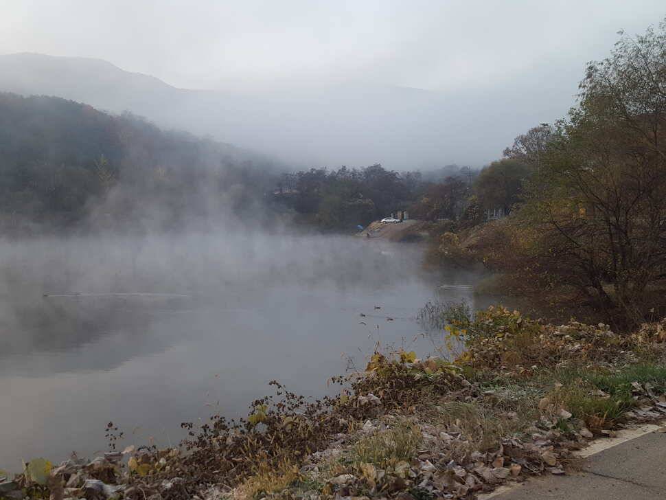 안성죽산장계지조항전경입니다 (유료터정보 - 유료터점주조황)