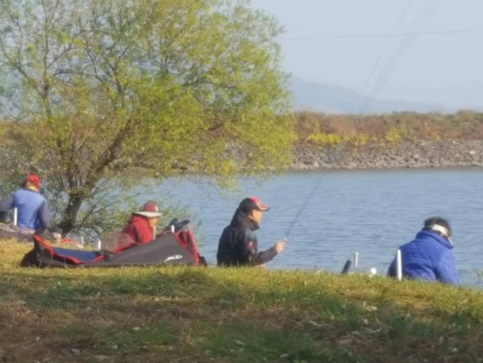 안성죽산장계지조항전경입니다 (유료터정보 - 유료터점주조황)
