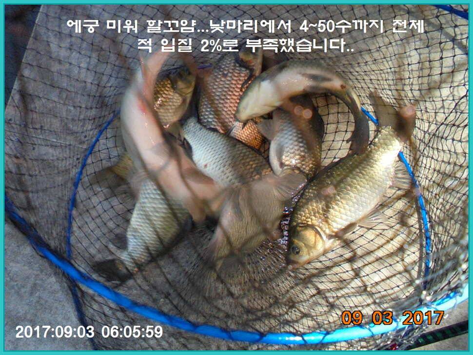 도심속의 작은 쉼터 화성 관리 낚시터 입니다 (유료터정보 - 유료터점주조황)