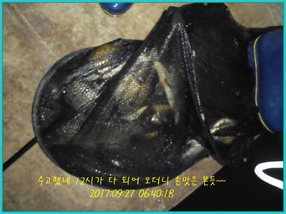 도심속의 작은 쉼터 화성 관리 낚시터입니다즐겁고 행복하고 풍성한 한가위 보내세요 (유료터정보 - 유료터점주조황)