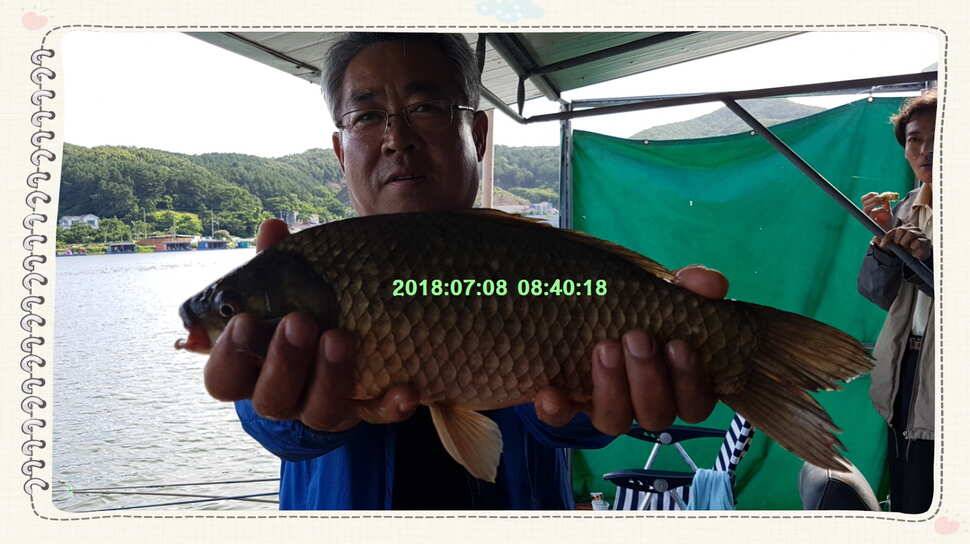 신원낚시터 7월 10일 조황 소식입니다 (유료터정보 - 유료터점주조황)