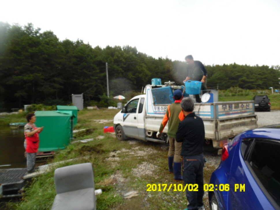 경주동산낚시터 지난주 조황 (유료터정보 - 유료터점주조황)