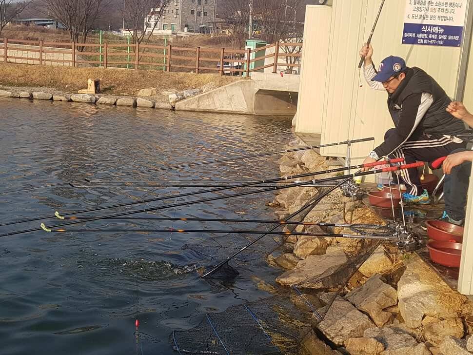 안성 거청낚시터 붕어조황 3 월 27 일 (유료터정보 - 유료터점주조황)