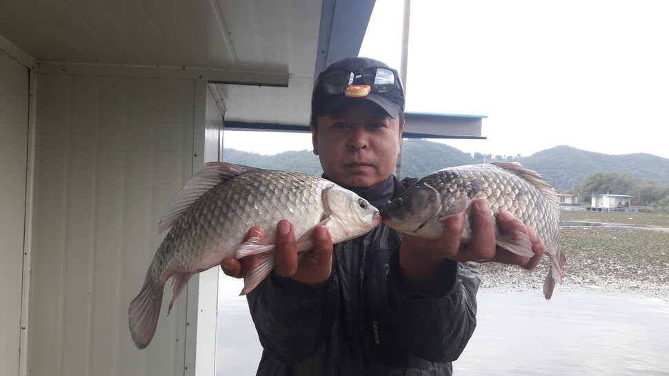 송전저수지 창신좌대 조황 (유료터정보 - 유료터점주조황)
