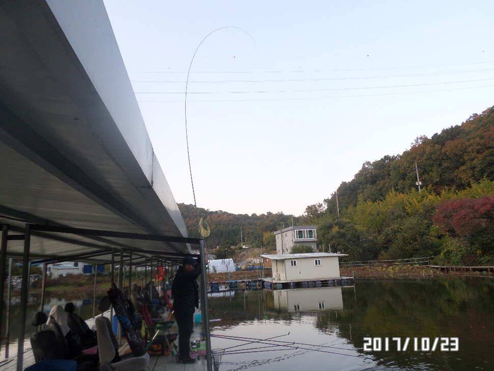 아산 신수지 금주 모습입니다 (유료터정보 - 유료터점주조황)