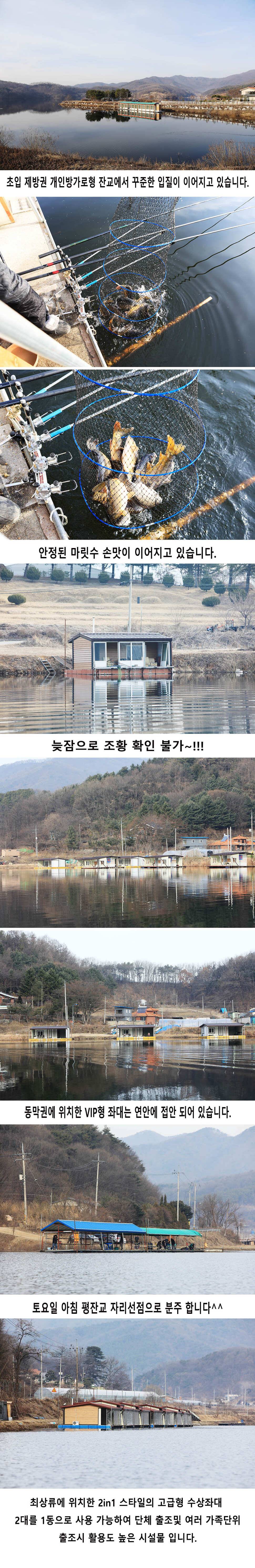 안성 두메낚시터 3월9일 조황안내 (유료터정보 - 유료터점주조황)