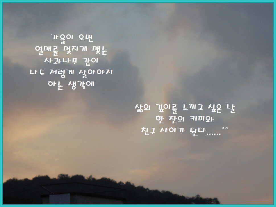 도심속의 작은 쉼터 화성 관리 낚시터입니다노지보단 방가로쪽 상류보단 하류쪽이 더 좋았습니다 (유료터정보 - 유료터점주조황)