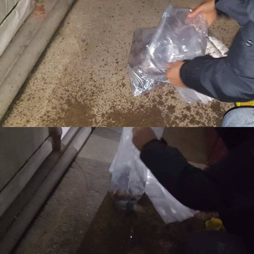 한사코 (유료터정보 - 유료터점주조황)