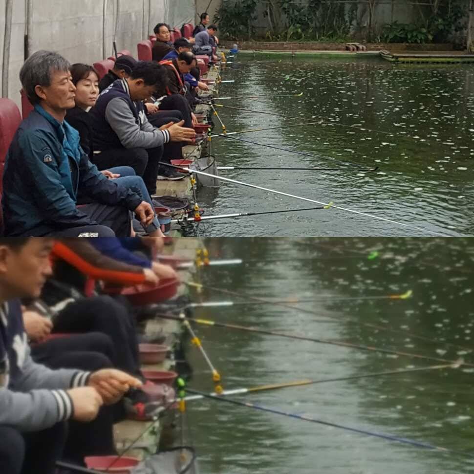 병행 운영 (유료터정보 - 유료터점주조황)