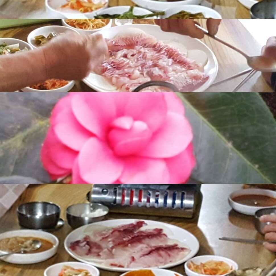 혹시나 해서 (유료터정보 - 유료터점주조황)