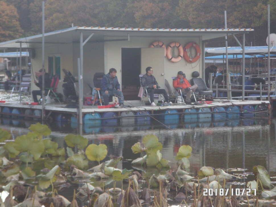 아산신수지 10월 넷째 주말 화보입니다 (유료터정보 - 유료터점주조황)
