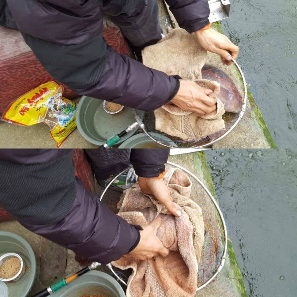 맨손 (유료터정보 - 유료터점주조황)