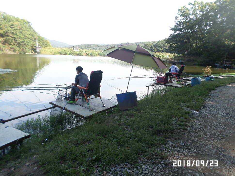 아산신수지 9월 넷째 주말 화보입니다 (유료터정보 - 유료터점주조황)