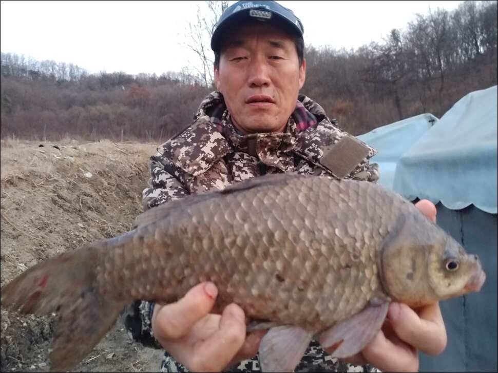 손맛 쥑입니다 (유료터정보 - 유료터점주조황)