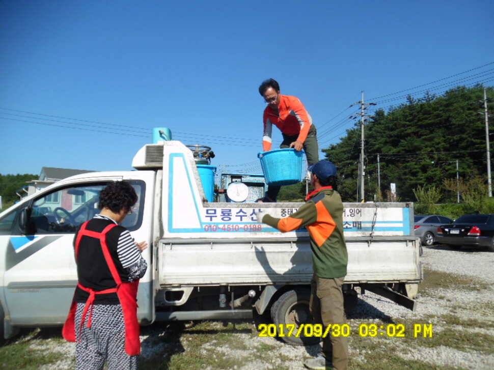 경주동산낚시터 지난주 조황 (유료터정보 - 유료터점주조황)