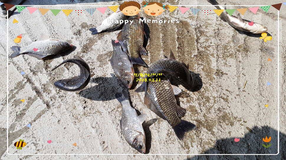 신원낚시터3월둘쨋주 조황소식 입니다 (유료터정보 - 유료터점주조황)