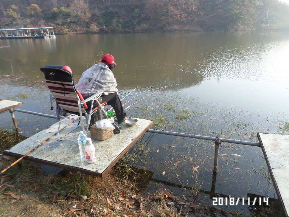 아산신수지 11월 셋째 주중 화보입니다 (유료터정보 - 유료터점주조황)