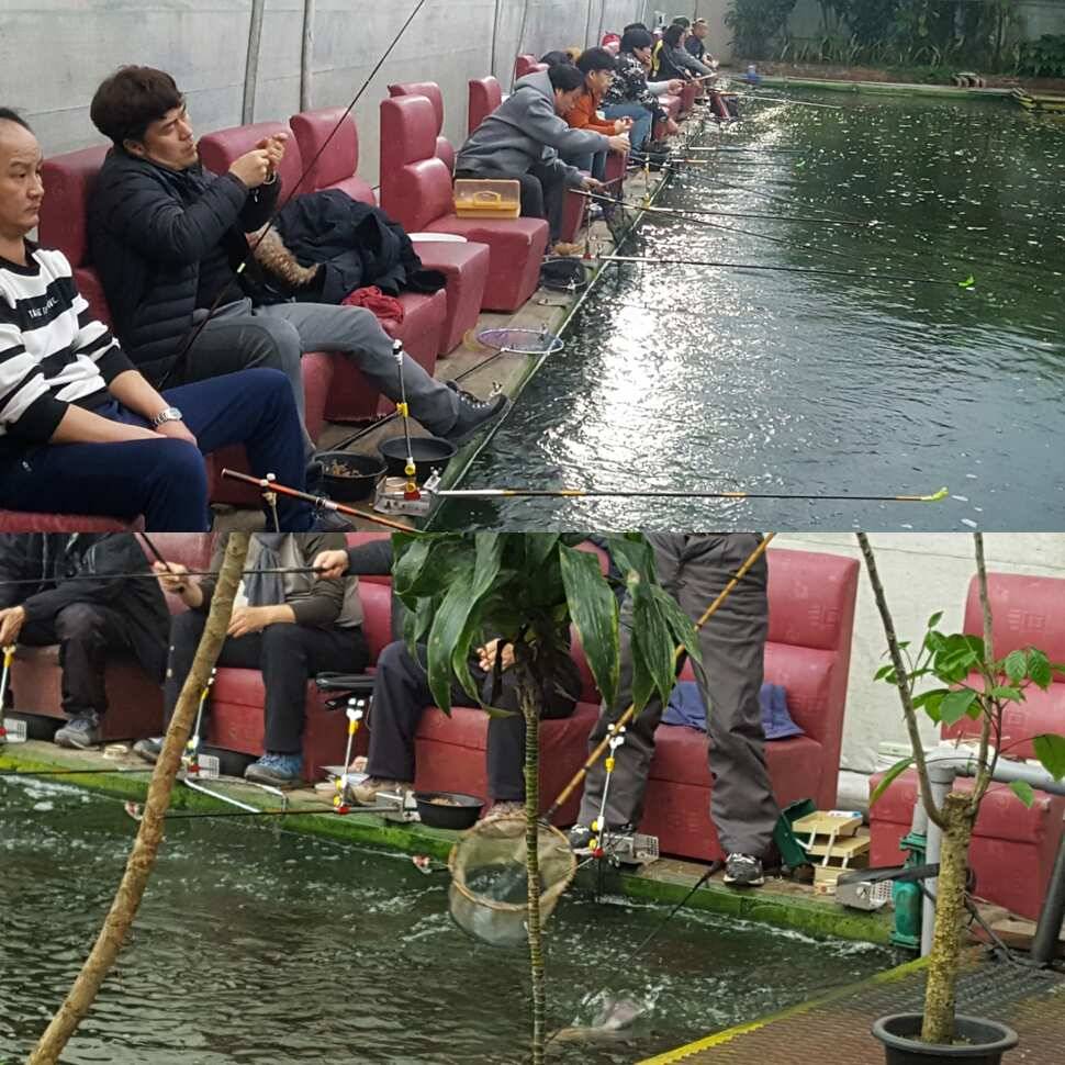 슬퍼요 (유료터정보 - 유료터점주조황)