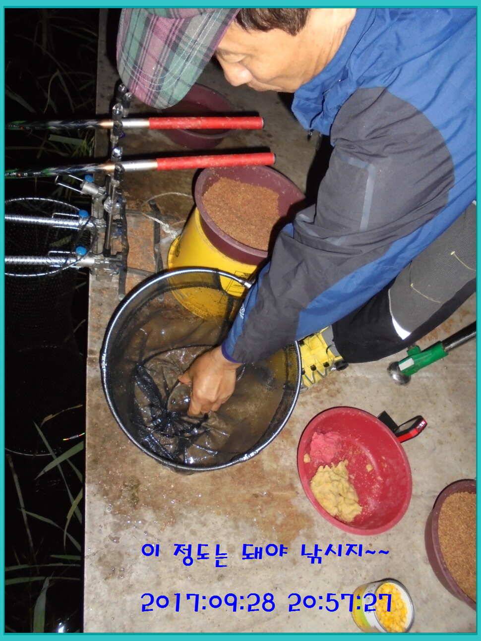 도심속의 작은 쉼터 화성 관리 낚시터입니다행복하고 풍성한 온 가족 화목한 추석 보내셨습니까 (유료터정보 - 유료터점주조황)