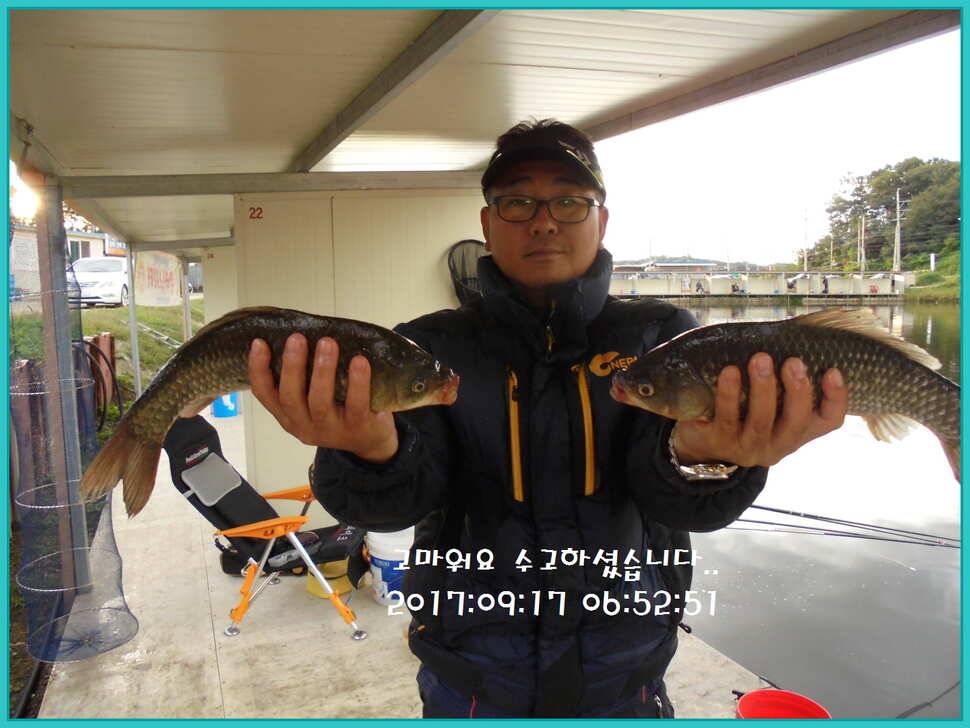 도심속의 작은 쉼터 화성 관리 낚시터입니다수확의 계절 답습니다 (유료터정보 - 유료터점주조황)