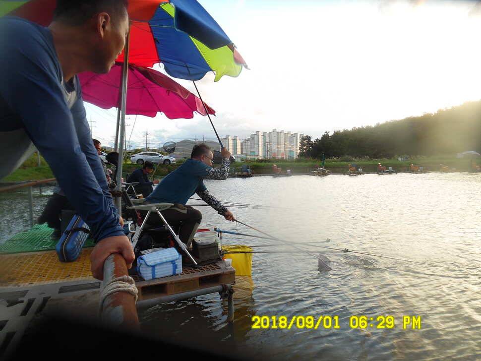 경주 동산낚시터 지난주 조황 (유료터정보 - 유료터점주조황)