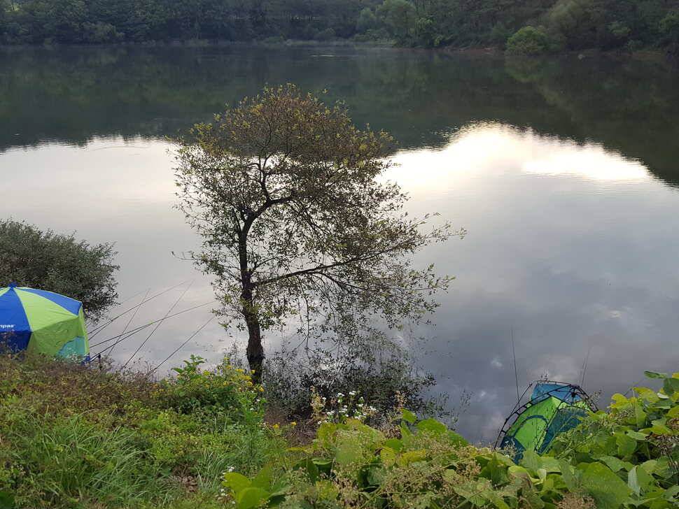 안성죽산장계지조항전경입니다 (유료터정보 - 유료터점주조황)