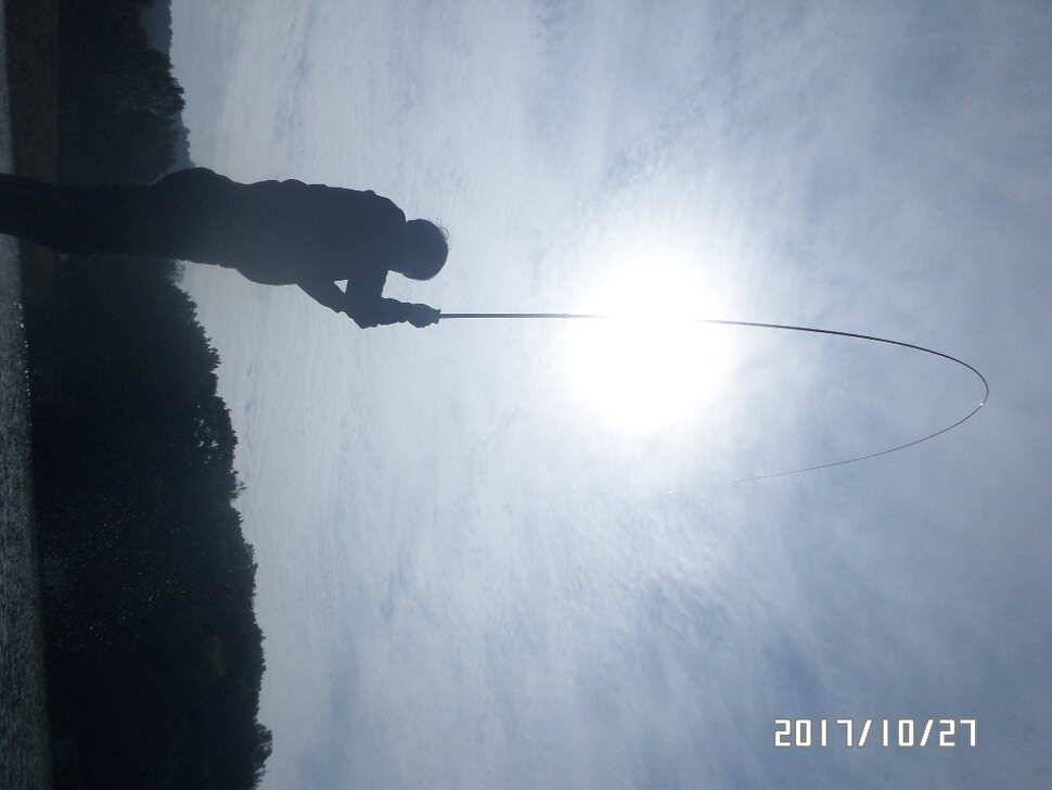아산신수지 2627 화보 올림니다 (유료터정보 - 유료터점주조황)