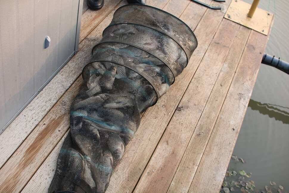 fish_pay_9d39f_091747_70768.jpg