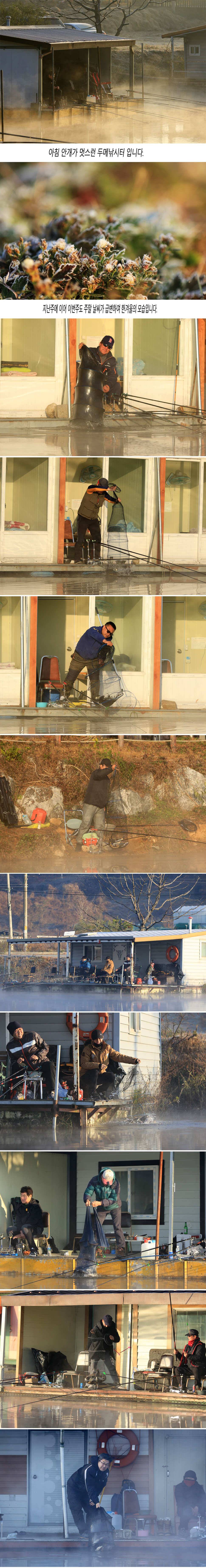 안성 두메낚시터 11월12일 조황안내 (유료터정보 - 유료터점주조황)