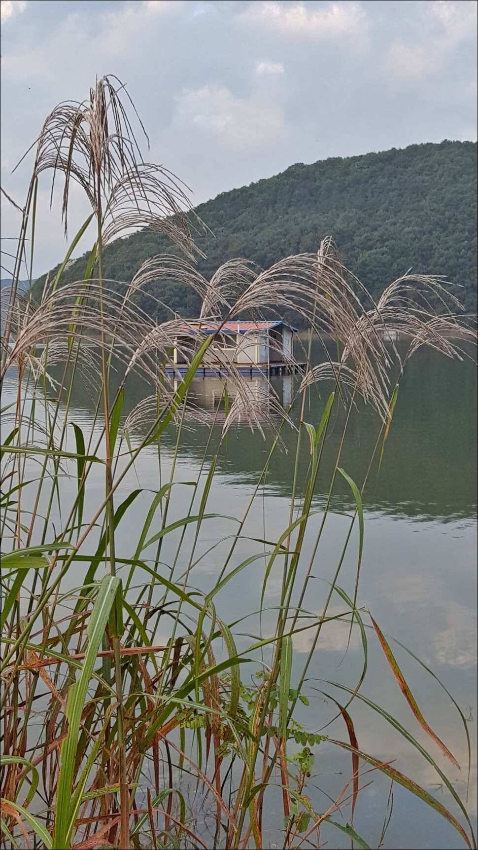 171010 송전지 서울집 조황 (유료터정보 - 유료터점주조황)